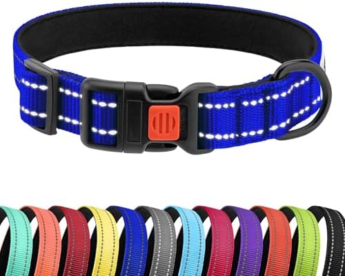 Reflective Dog Collar, Quick-Release Buckle (Blue, 10-13 Inch)