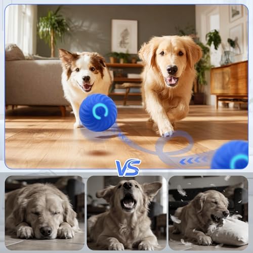 2Pcs Interactive Dog Ball Toys,Smart Small Medium Dog Toys to Keep Them Busy with 3 Cover, Automatic Rolling and Jumping Pet Balls Ball for Dogs,Pet Interactive Toy Balls.Not for Aggressive Chewers.