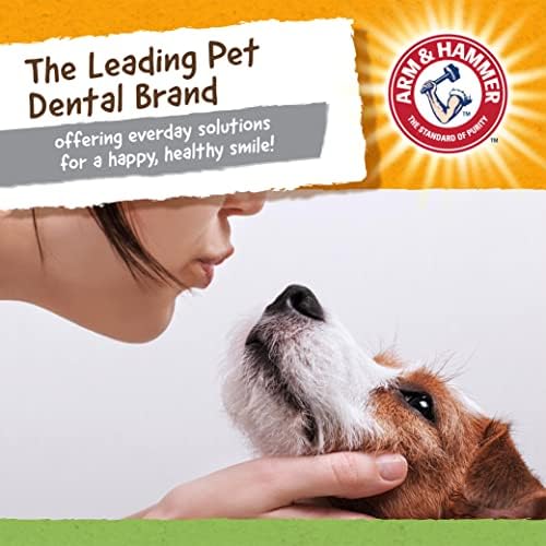Arm & Hammer Nubbies T-Rex Dog Dental Chew Toy, Mint Flavor
