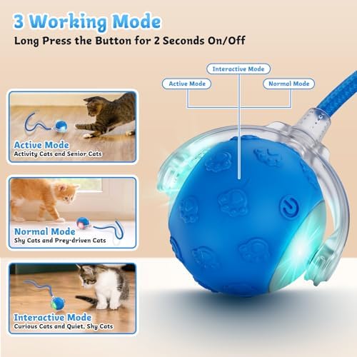 Interactive Cat Toys for Indoor Cats - Rechargeable Fast Rolling Ball