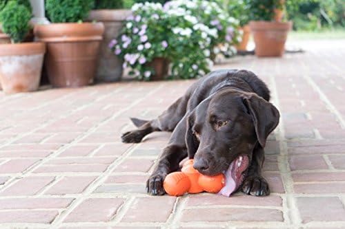 PetSafe Sportsmen Squeak 'N' Treat Troog Dog Chew Toy - Interactive Pet Puzzle for Boredom or Separation Anxiety - Use with Treats - Large