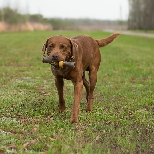 Browning Duck Call Squeaker Chew Toy Teak Brown