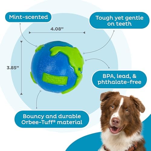 Outward Hound by Planet Dog Orbee-Tuff Planet Ball Blue/Green Treat-Dispensing Dog Toy, Large