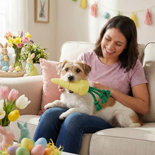 Easter Dog Squeak Toys Cotton Rope Carrot Interactive Stuffed Puppy Teething Toys Durable Canvas Chew Toys for Small Medium Dogs Tough Dog Gifts for Boredom(Carrot)