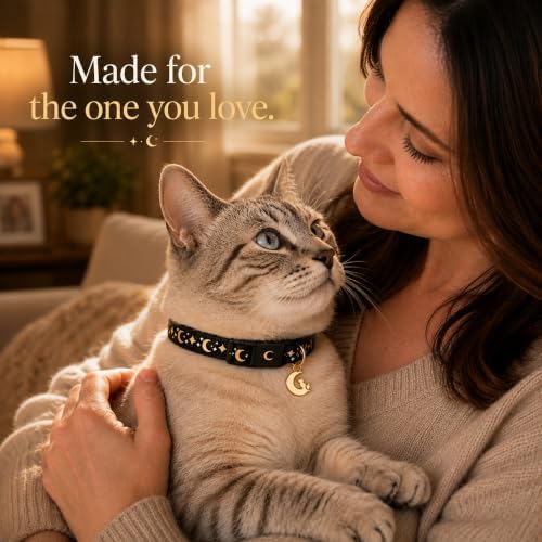 Breakaway Cat Collar with Bell for Kittens & Cats