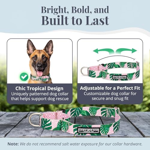 Lucky Love Dog Martingale Collar for Large Dogs No Slip – Laguna, Large