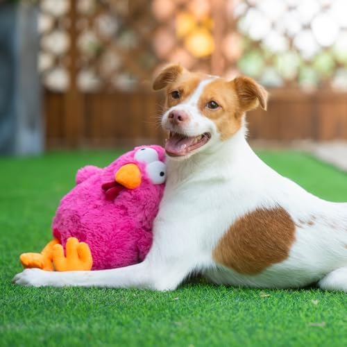 Best Pet Supplies Squeaky Plush Dog Toy - Mrs. Cluck, Fuchsia | Soft Plush, Squeaks & Crinkles, Perfect for Moderate Chewers, Toss & Fetch Play, Stress & Anxiety Reliever, Ideal Gift Toy