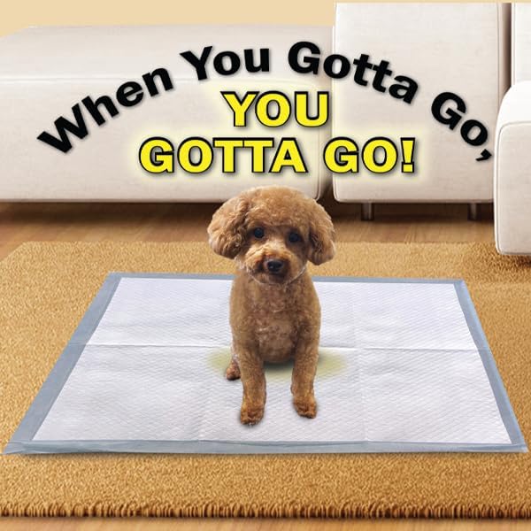 Scoochie Pets Large Dog Training Pads, 22 x 22, 12 Pack | Absorbent Sheets for Adult & Young Pets, Leak-Proof Pee Pads, Convenient Box, Ideal for Home & Travel