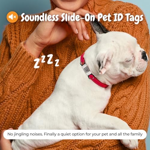 Smart Slide-On QR Code Pet Tag – Silent Dog & Cat ID Tag with Laser Engraving – Stainless Steel & Silicone – No App Needed – Custom Pet Profile – Fits Most Collars (Blue, Large)