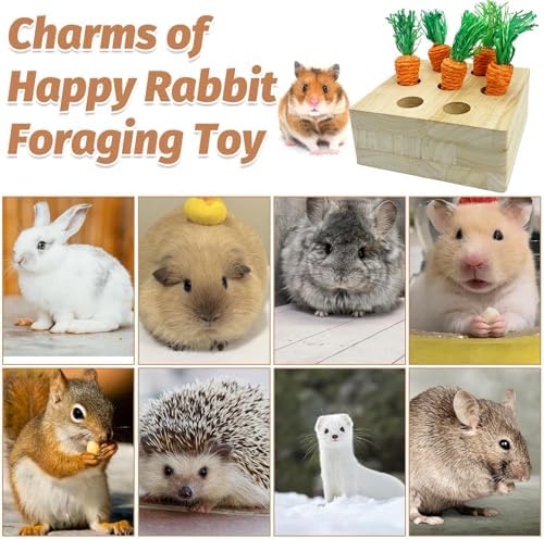 PINVNBY 6 PCS Rabbit Foraging Toys Wooden Bunny Enrichment Toy Guinea Pig Chew Toy Hamster Interactive Hide Treats for Rabbits Bunnies Chinchillas Rats (with 5 PCS Carrot Teething Toys