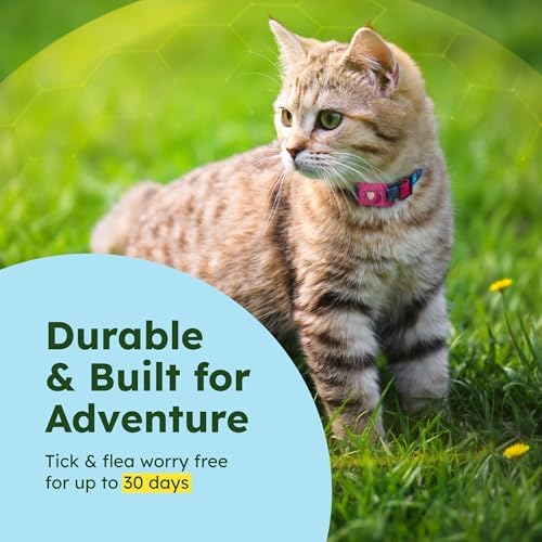 BugMD Paw Guardian Flea and Tick Prevention Pendant for Dogs