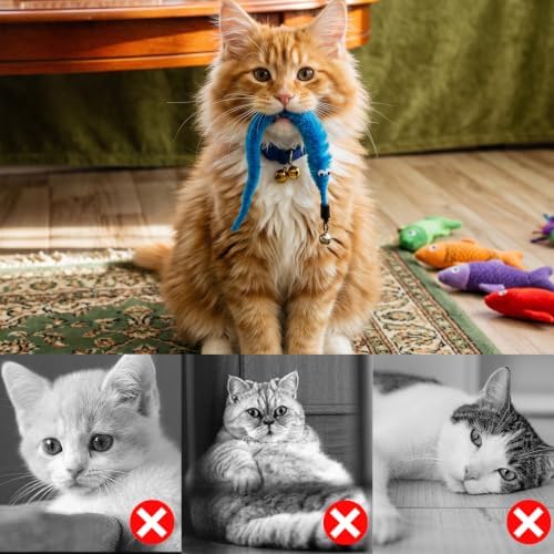 KuuGuu 24 PCS Cat Worm Toy Replacement Teaser with Bell Refills Indoor Cat's Interactive Wand and Catch Wand Soft Squiggly Worm Teaser Refills Attachment Interactive Catch Toy Accessories （6 Color）