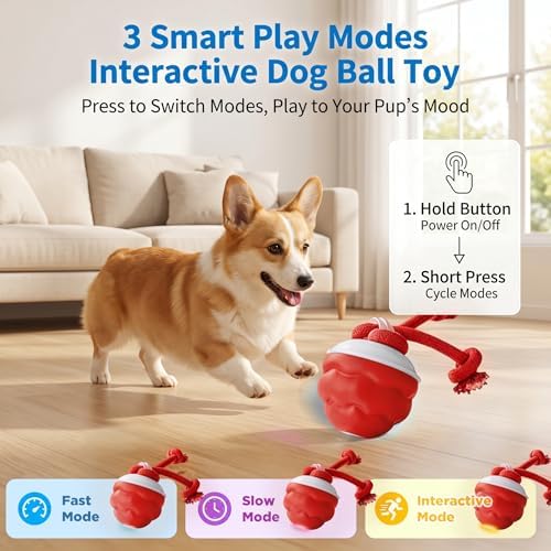Interactive Dog Toys, Automatic Rolling Ball with Rope, Red