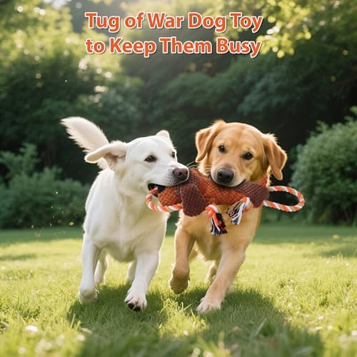 Drmstow Dog Toys for Aggressive Chewers, Squeaky Plush Chew Toy with Crinkle, Interactive Rope Tug of War Toy for Large Dogs to Keep Them Busy
