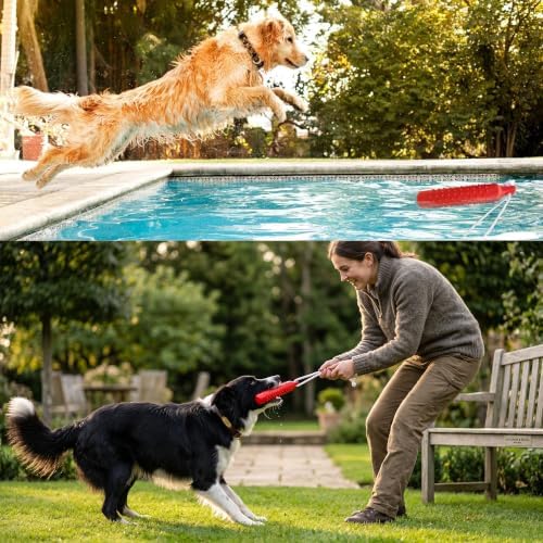Floating Dog Water Pool Toys,Outdoor Interactive Toy 10.6 Inch EVA