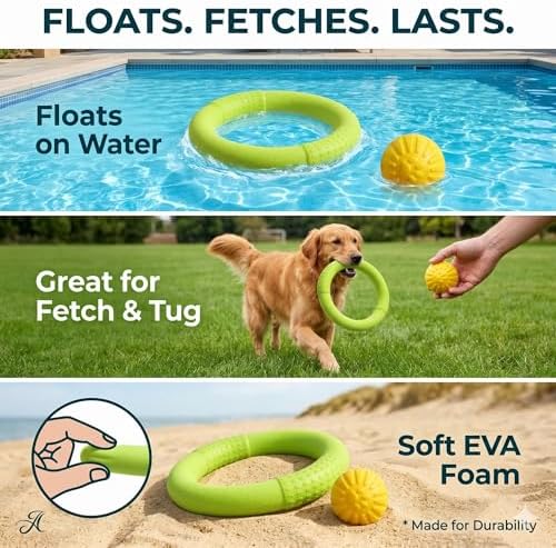 Large Dog Toy Ring and Ball Combo Set, Floating EVA 2 Pack (Green, Large)