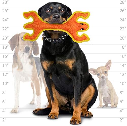 Tuffy® - DuraForce® : 2 Pack Lizard Dog Toy: Ultra Durable Plush Toy with Multiple Layers & Reinforced Seams, Washable and Floats, DuraForce® Construction