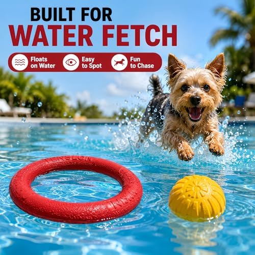 Floating Ring & Ball Combo Set, 2 Pack EVA Water Fetch Toys for Dogs, Durable Chew Tug Toy for Small Medium Large Dogs, Pool Beach Interactive Play (Red, Small)