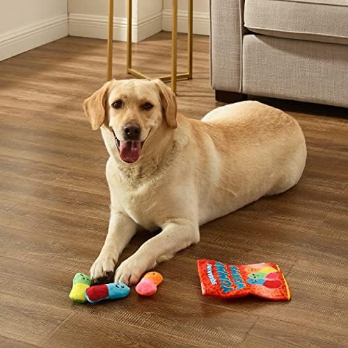 Outward Hound Snack Bag Yummy Worms Puzzle Squeaky Dog Toys