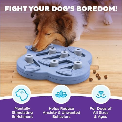 Outward Hound Nina Ottosson Dog Hide N' Slide Dog Toy Treat Puzzle, 11.6" | Level 2 Intermediate, 14 Hidden Treat Compartments, Slide & Swivel, Kibble or Treats, Easy Clean, Enrichment, Dogs & Puppies