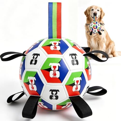 Rensh Dog Soccer Ball with Straps 6 Inch, Interactive Dog Ball for 20-40 lb