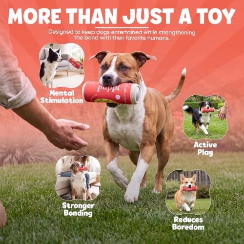Soda Can Parody Dog Toy – Funny Squeaky Dog Toys for Interactive Play and Training – Durable, Easy to Clean, Birthday Gifts for Small, Medium and Large Dogs
