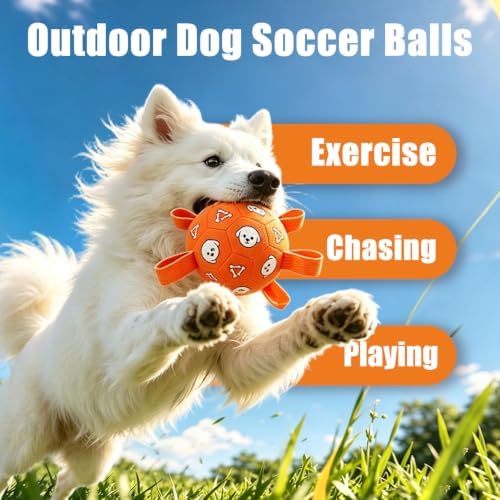 Dog Soccer Ball with Straps, 6 Inch Jolly Ball for Medium Dogs
