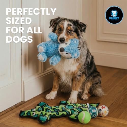 5-Piece Dog Toy Set – Tough Alligator Tug Toy, Plush Hedgehog with Internal Spiky Ball & Tennis Balls – Interactive Toys for Teething, Fetch & Training – Gifts for All Dog Sizes