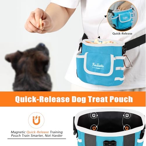 Dog Treat Pouch with Magnetic Closure for Pet Training