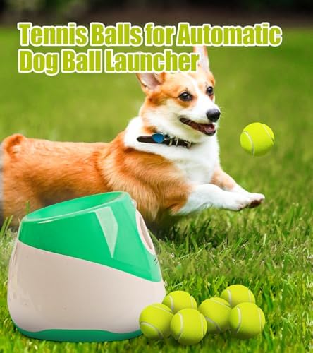 2-inches Interactive Dog Tennis Balls for Exercise and Training