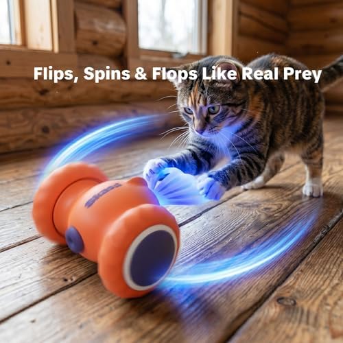 Interactive Cat Toys, Puppy Dog Toys
