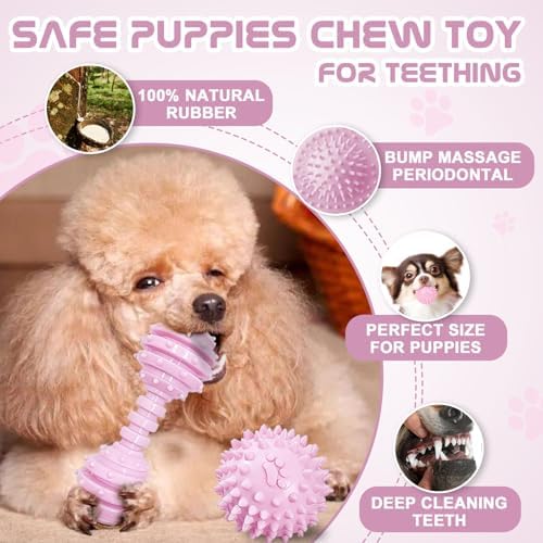 Puppy Toys - 7 Pack Puppies & Small Dogs Chew Toys for Teething,Relieves Teething Anxiety, Soft & Durable Interactive Toys, Not for Heavy Chewer