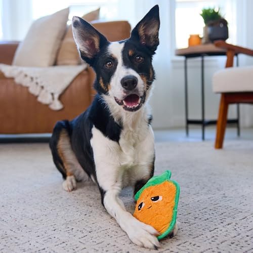 Outward Hound Tough Skinz Durable Chew Plush Squeaky Dog Toy, Carrot, 9.8"