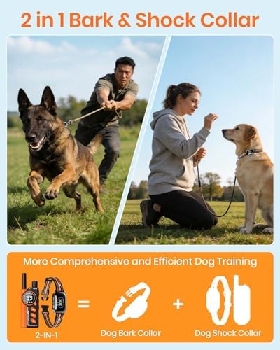 2-in-1 Bark Shock Collar 2 Pack - Color Screen Dog Training Collar with Beep/Vibration/Shock/Anti Bark 4 Modes for 2 Dogs, 3300FT Waterproof E Collar with Remote for Small Medium Large Dogs(8-120lbs)