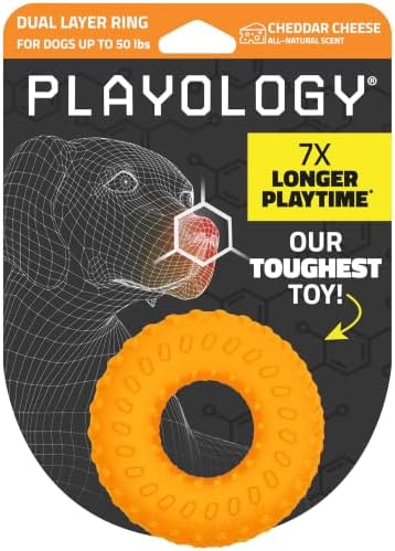 Playology Dual Layer Ring Dog Toy for Aggressive Chewers, Cheddar Scent