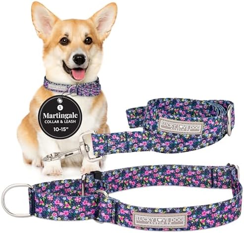 Lucky Love Dog Martingale Collar & Leash Set No Slip Cute – Primrose, Small