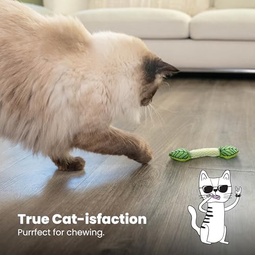 Catstages Fresh Breath Mint Stick Cat Toy, Dental Chew with Catmint, 5"