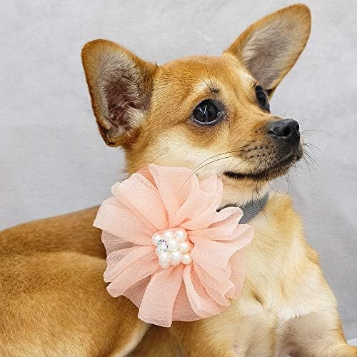 Blueberry Pet Iconic Accessory Set of Floral Collar Slide Hair Clip and Pedant for Dogs & Cats, Flower Decor and Green Waterdrop Pendant