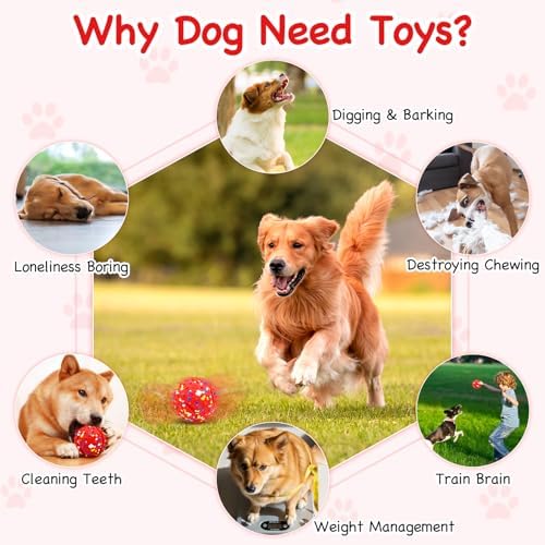 Lollyx Interactive Dog Toys, Interactive Dog Ball Toy for Small Medium Dogs | Rechargeable, Bouncing & Rotating Dog Ball, Chew Resistant Design to Keep Busy Moving, Indoor Outdoor Exercise
