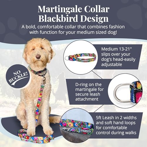 Lucky Love Dog Martingale Collar & Leash Set No Slip – Blackbird, Medium