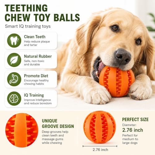 GASHIK Dog Treat Ball for Dogs, Rubber Dental Chew Toy for Dogs