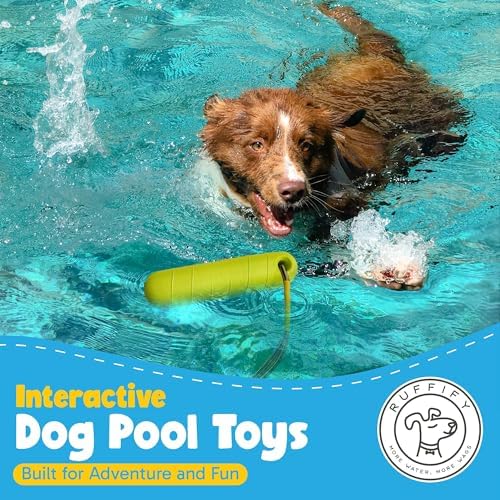 Floating Dog Water Toys - 2 Pack, Bumper Throw Stick for Fetch