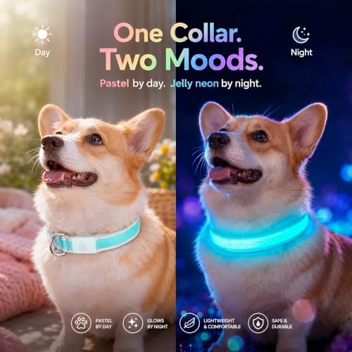 Multicolor LED Dog Collar USB-C Rechargeable, Light Up Dog Collar, Rainbow Gradient Glowing Dog Collar with 4 Light Modes, Adjustable Candy Mesh Pet Collar(Blue, Medium)