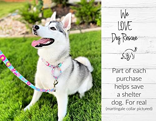 Lucky Love Dog Martingale Collar for Medium Dogs No Slip – Caroline, Medium