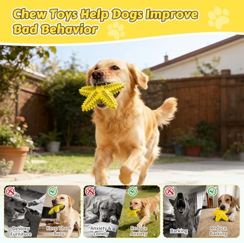 Dog Chew Toys Interactive Tough Floating Squeaky Toy