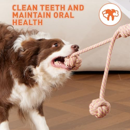Durable Dog Rope Toys for Medium Dogs, Interactive Dog Toys for Tug of War and Aggressive Chewers. 2 Cotton Pack Indestructible Teeth Cleaning and Interaction Toys.