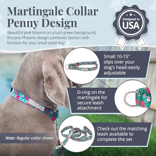 Lucky Love Dog Martingale Collar for Small Dogs No Slip Cute – Penny, Small