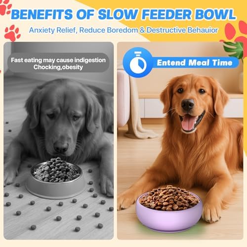2 Pack Dog Lick Bowl, Slow Feeder Licking Bowl(Purple)