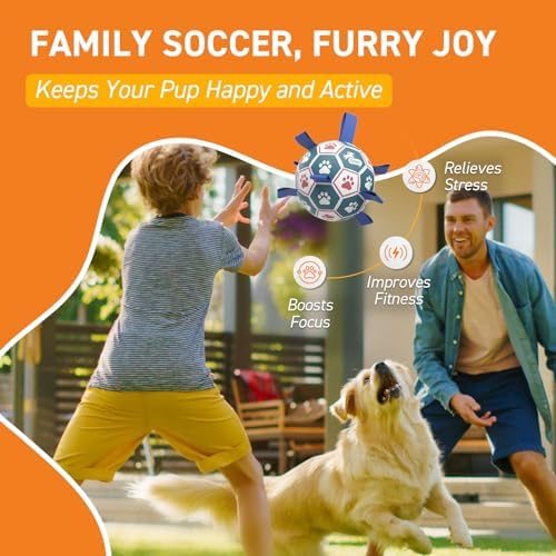 QDAN Large Dog Toys, 8 Inch Durable Balls for Dogs, Soccer Ball with Straps