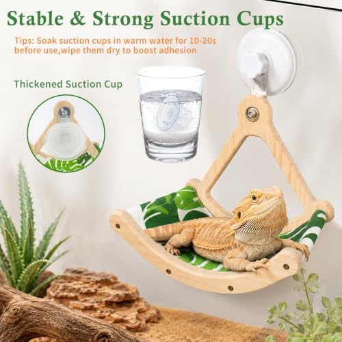 Bearded Dragon Perch Interactive Rocking Reptile Toy